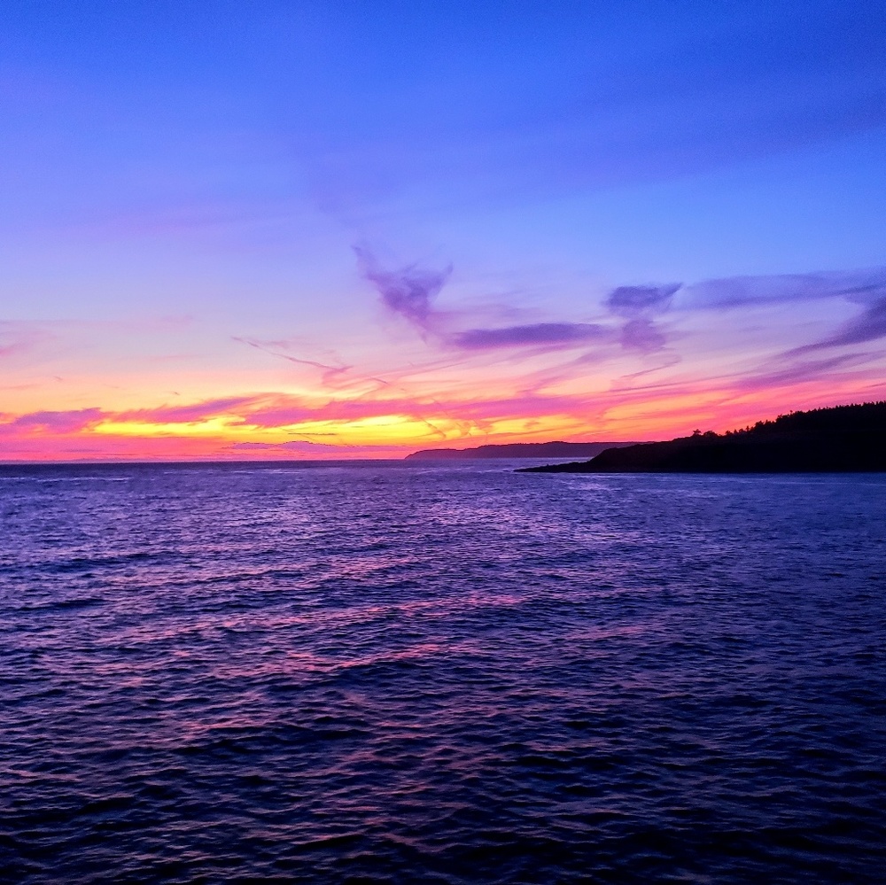 Meet your Posher, Devyn